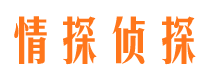 新安市侦探调查公司